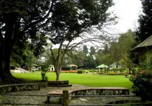 ADY HYDARI PARK